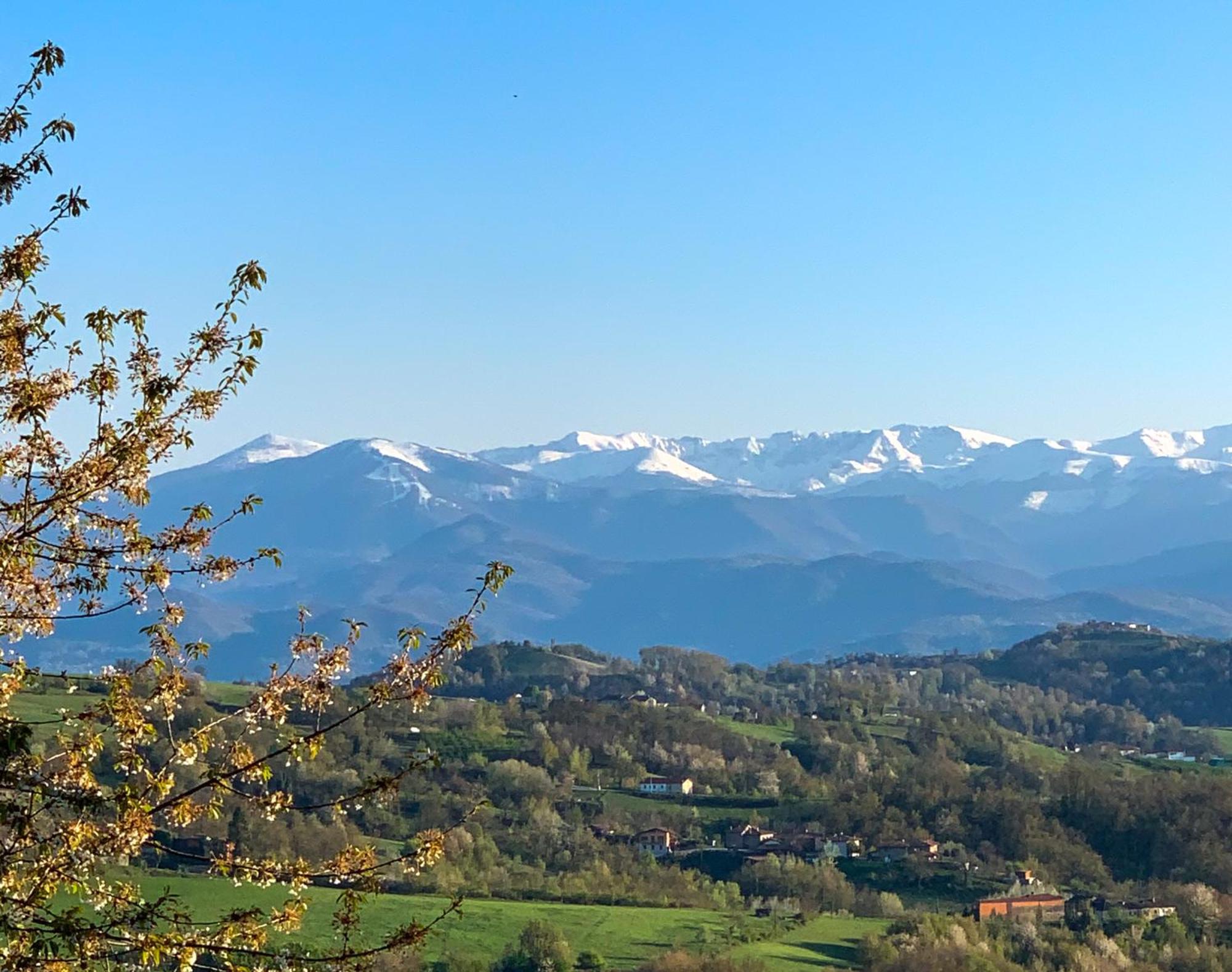 Just Langhe Casa Barolo Villa Novello Buitenkant foto