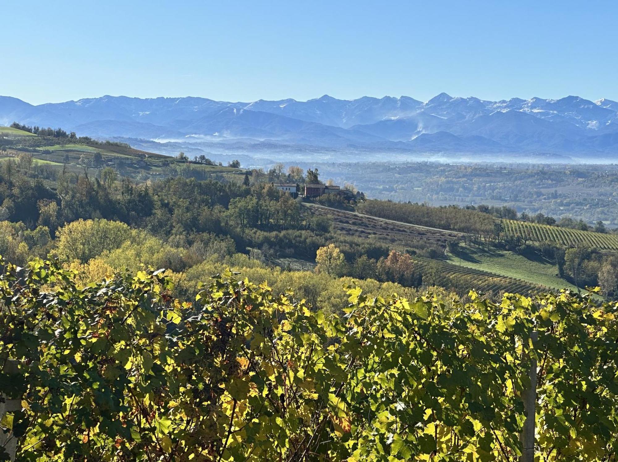 Just Langhe Casa Barolo Villa Novello Buitenkant foto