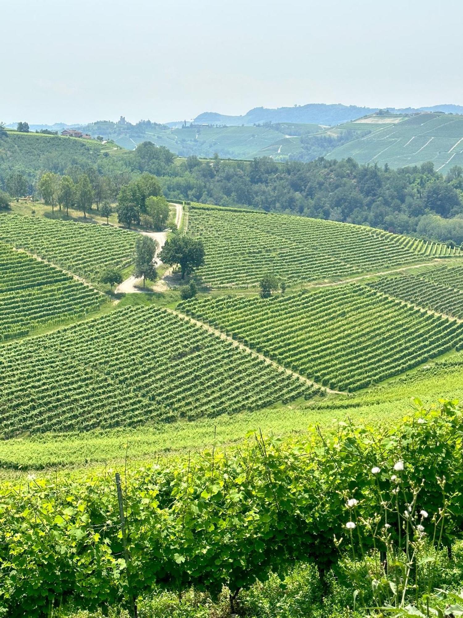 Just Langhe Casa Barolo Villa Novello Buitenkant foto